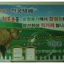 농민한우촌