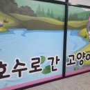 호수로 간 고양이 이미지