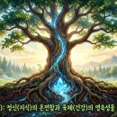 사주팔자 일간의 체(體)와 억부용신으로 내 건강과 재물운 진단하기[창원 마산 사주 잘보는곳]