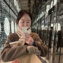 영건푸드 이미지
