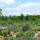 근원농장 이미지