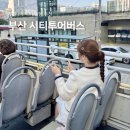 송도버스 주식회사 | 부산 시티투어버스 타는곳 뚜벅이 여행 할인 티켓 예약 여행특공대