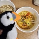 셀야란드포스, 스코가포스, 그리고 갤럭시 오로라 촬영팁 : 아이슬란드 12월 렌터카 겨울여행