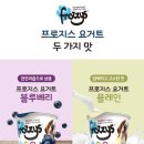 프로지스 이미지
