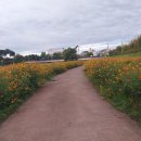 유성온천 이미지