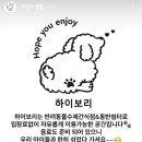 하이보리 이미지