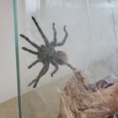 곤충연구소 실내 이미지