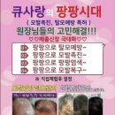 큐사랑팡팡