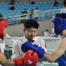 제주공천포전지훈련센터 다목적체육관 | 서귀포시, 제55회 대통령배 전국시도복싱대회 9월 개최