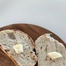 콩자반 애견유치원 이미지