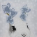 antic and  이미지