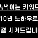 디노가다 네이버블로그