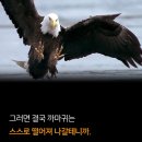 6월17일 월욜 통합방 출부 이미지