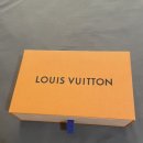 Louis Vuitton 여성 가방 팝니다. 이미지