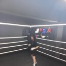 수호복싱클럽 이미지