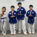 정릉 용인대 태권도장 네이버블로그