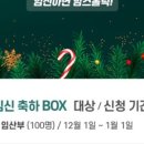 루미홀릭