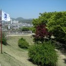 수원-1815 이미지
