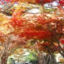 두레캠핑장 이미지