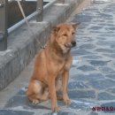 용순농장 이미지