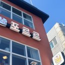 건대입구역 | 건대입구역 포르르 후기 : 수플레케이크 맛집 애견동반가능 루프탑 카페 추천(내돈내산)