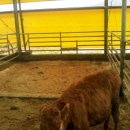 건일농장 이미지