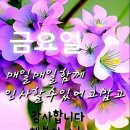 힐링파워 - 광주시 | 힐링파워
