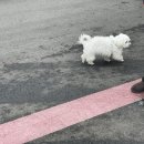 루이네워시존 이미지