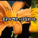 2026.06.18(C) : AI목소리로 시작하기 - '박노해'시인의 '굽이 돌아가는 길' 이미지