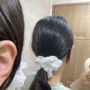 플래니코