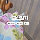 노산 | [출산일기/호산부인과] 37살 노산 39주 0일 출산후기 가진통과 진진통 자연분만 후기 병원입원 금액