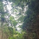 제주세계자연유산센터 세계유산전시관 | 제주세계 자연 유산 센터 &#34;거문오름&#34;가족 트레킹