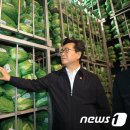 대관령원예농협 채소사업소 이미지