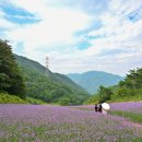 병방산군립공원 이미지