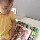 돌아기 자연관찰 동물 인지책 추천 두두스토리 와글와글 동물 100