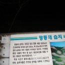 지리산서바이벌 이미지