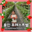 서우농장 | 용인 딸기체험 포레스트벨 솔직후기｜아이 반응 좋았던 이유(딸기따기·동물체험·흙놀이 등)