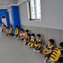 LTA 태인태권도 이미지