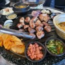 조연탄 기다리면 돼지 이미지