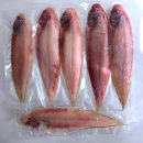 군산박대왕 | 군산박대왕 반건조 박대 3종 세트 명절선물로 좋은 이유