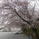 싸릿골가든 이미지