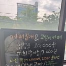 예뻐질:개&고양이카페 | &lt;구미 고양이카페, 예뻐질개&amp;고양이카페&gt;