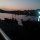 영산포홍어 이미지