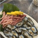 🐚 둔촌동의 해산물 천국, 해왕조개전문 둔촌점 방문 후기 🐚
