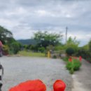 에그리나 이미지