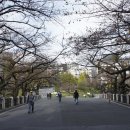 도쿄, 키따노마루 공원, 히가시교엔, 황궁 이미지