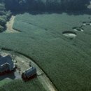 이영화농장 이미지