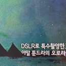 최후의 생태계, 툰드라의 사람들 / 권영심 이미지