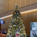 정선아리랑 7080 라이브 | [공연] 양방언 NEO UTOPIA @국립극장 해오름 221204