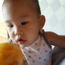 조흥농장 이미지